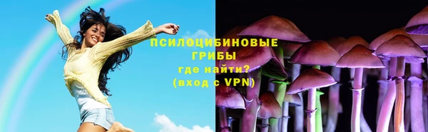 дмт Козловка