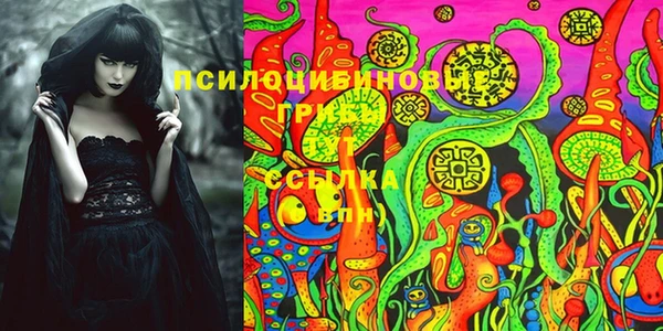 ПСИЛОЦИБИНОВЫЕ ГРИБЫ Киренск