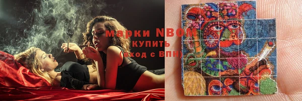стафф Вяземский