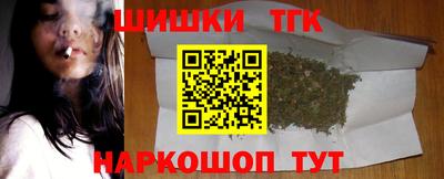 мдпв Камышлов