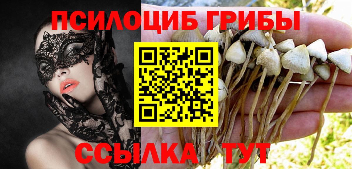 Псилоцибиновые грибы мухоморы Осинники
