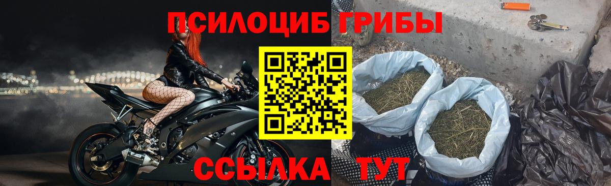 Галлюциногенные грибы MAGIC MUSHROOMS  Галлюциногенные грибы мухоморы  Осинники  как найти   Вход с VPN 